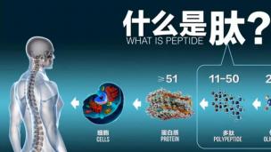 健康咨询服务正在努力筹建中....
